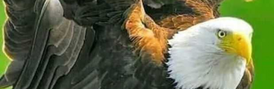 ERIC DRULA Cover Image