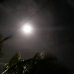 CIBERTONY Profile Picture