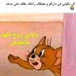 Nabil Sba Profile Picture