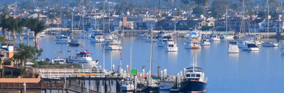 Sober Partners Cover Image