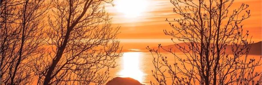 Monarch Recovery LLC Cover Image