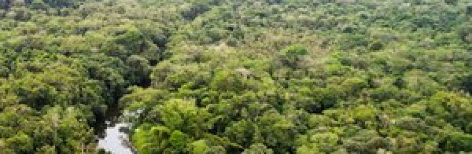 Together For Climate Cover Image