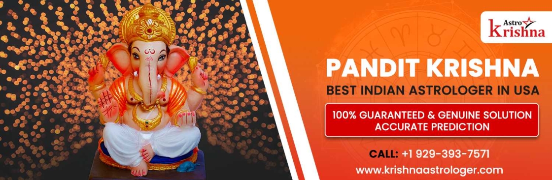 Krishna Astrologer Cover Image