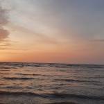 Anushka Raut Profile Picture