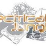 Electrical Jungle Profile Picture