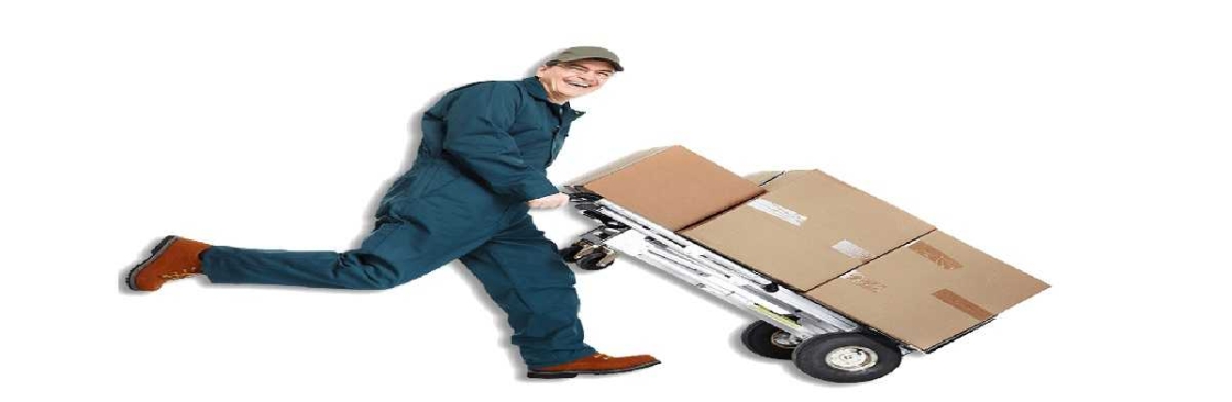 Movers Gold Coast Cover Image