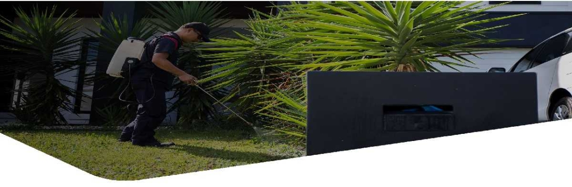 Sunshine Coast Pest Cover Image