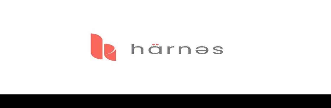 Harnes Singapore Private Limited Cover Image