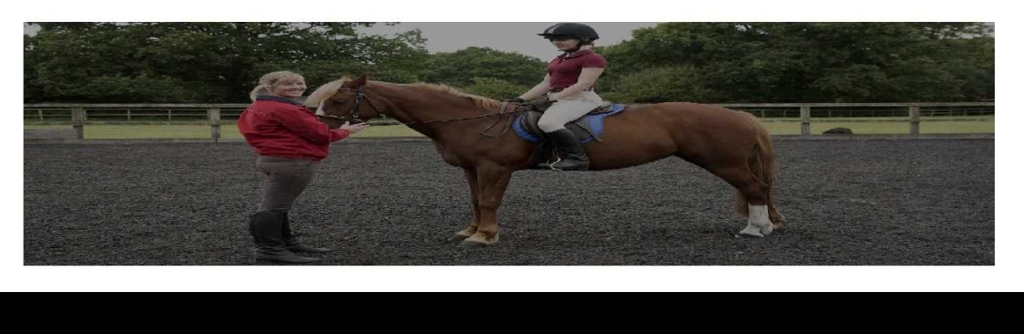 SPRINGRIDE SURFACES Cover Image