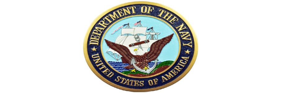 Plaques and Patches Cover Image