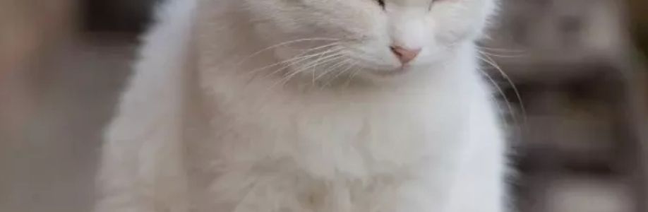 Molisha Mahant Cover Image