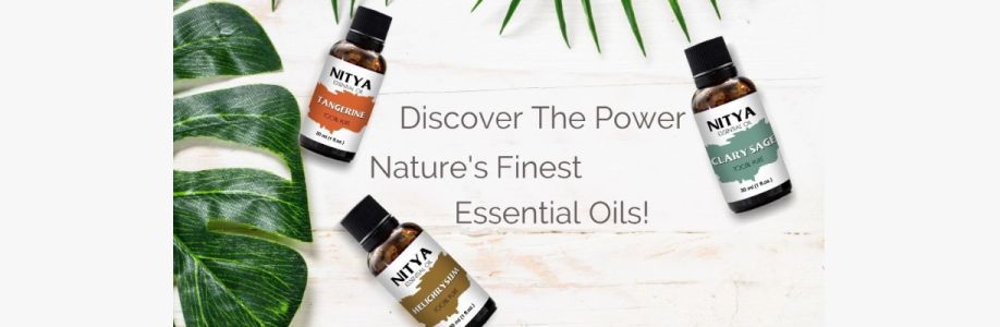 itvest solutions llc Cover Image