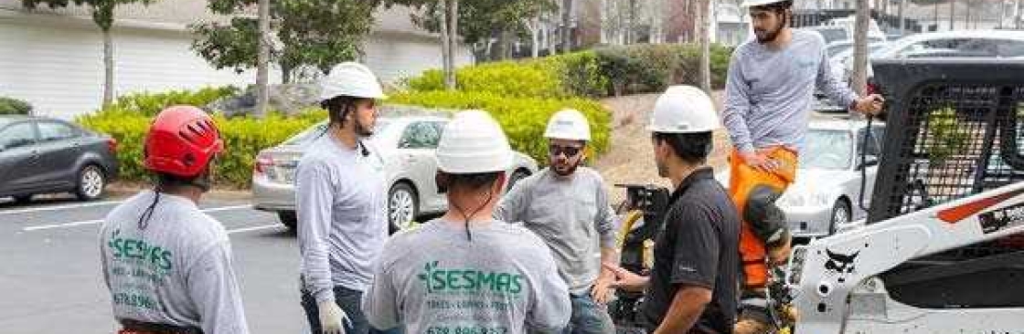 Sesmas Tree Service LLC Cover Image