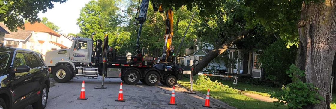 Timber Ridge Tree Care Cover Image