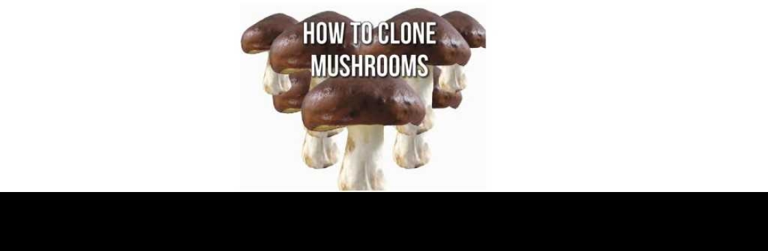 BC Seeds Cover Image