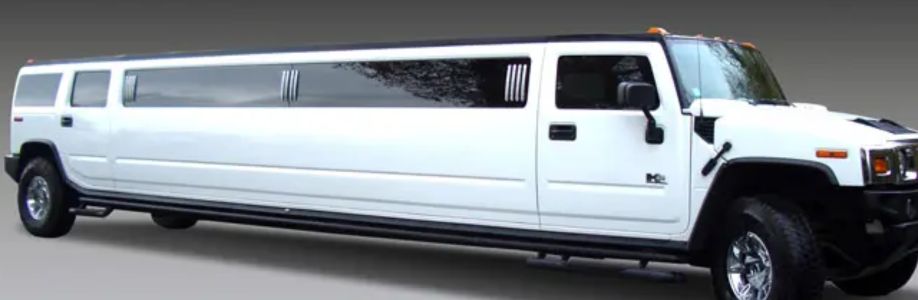 San Diego Party Ride Cover Image