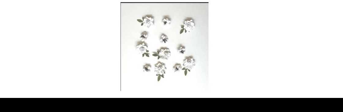 Sassy Scrapper Cover Image