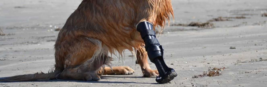 OrthoPets USA Cover Image