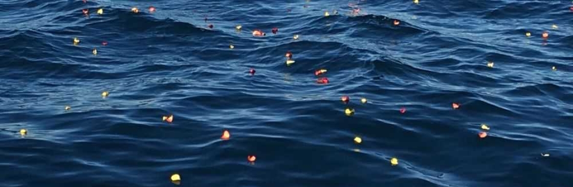 Beyond The Sea Memorial Services Cover Image