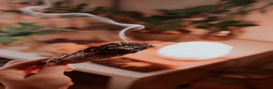 Psychic Visionary Gu Cover Image