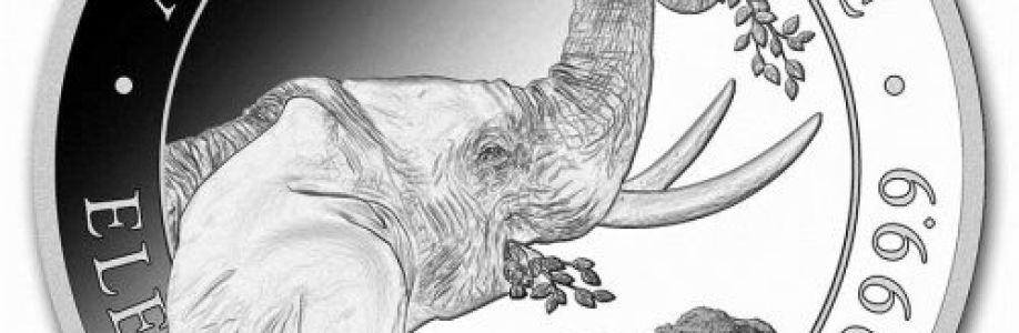 The Coin Shoppe Cover Image