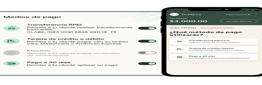 Kalto Tech S.A. de C.V. Cover Image