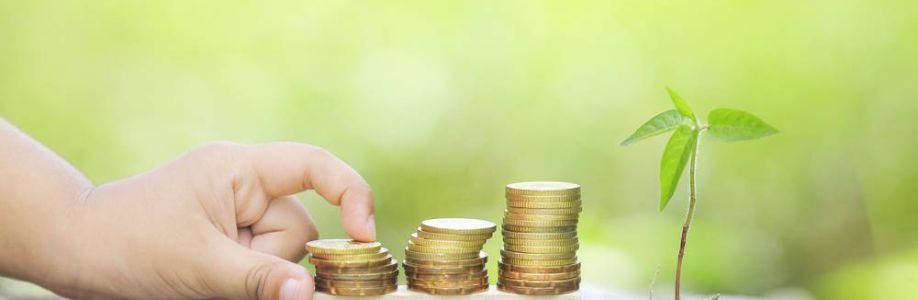 Money Maximising Advisors Limited Cover Image