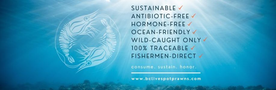 BC Live Spot Prawns Fresh Seafood Cover Image