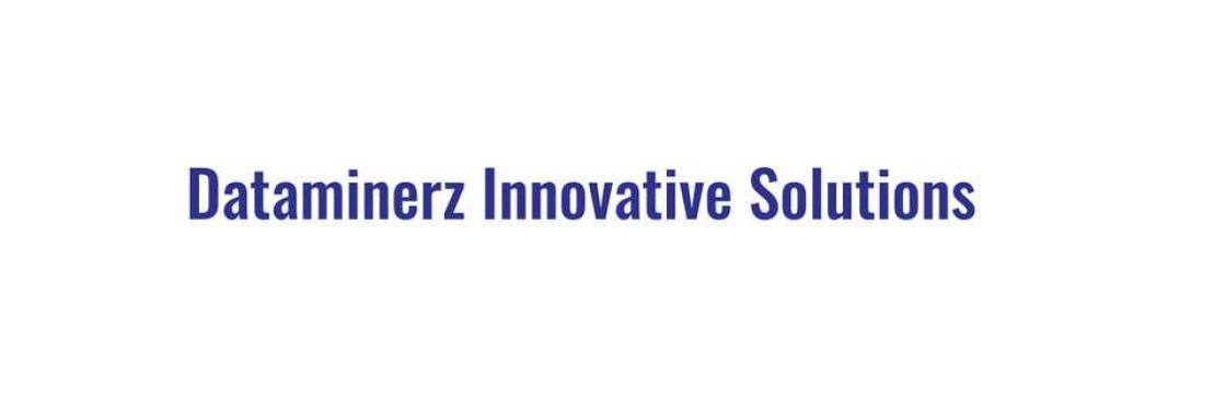 Dataminerz Innovative Solutions Cover Image