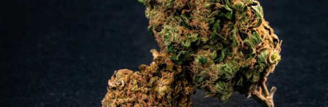 Delta 9 THC Cover Image