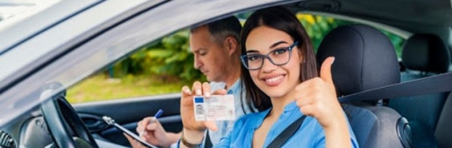 Director Book Driving Test Earlier Ltd Cover Image