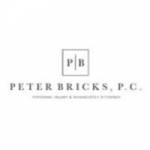Peter Bricks, PC Profile Picture