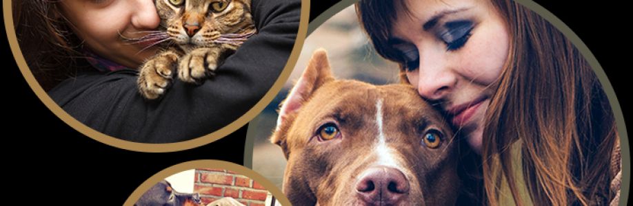 John Smith Cover Image