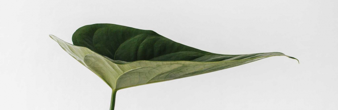 Sala Criativa Cover Image