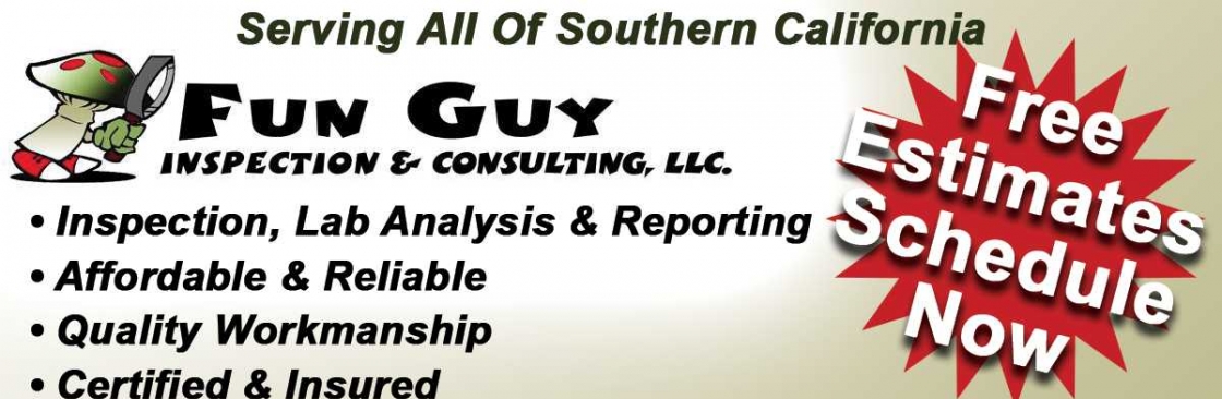 Fun Guy Inspection & Consulting LLC Cover Image