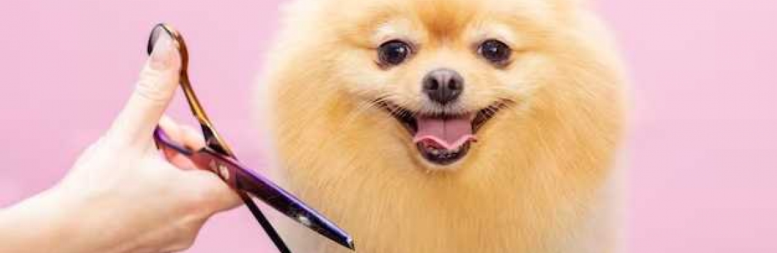 Perfec Tail Cover Image