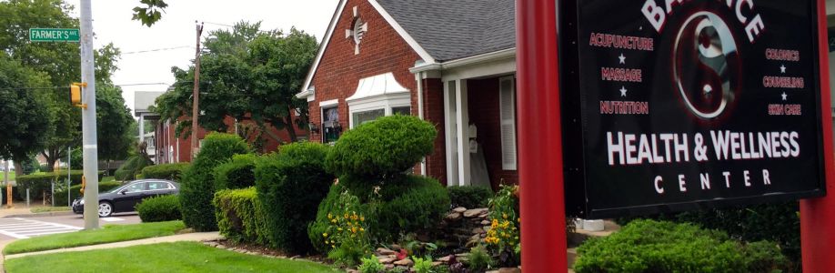 631 Balance Cover Image