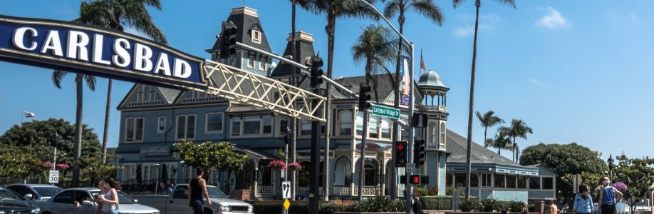 Langer Estates Cover Image