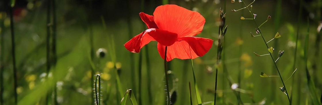 yourworld UK Cover Image