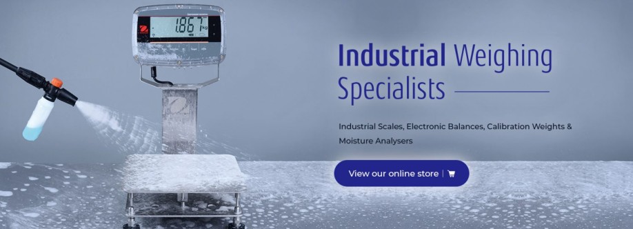 Scales Balances Cover Image