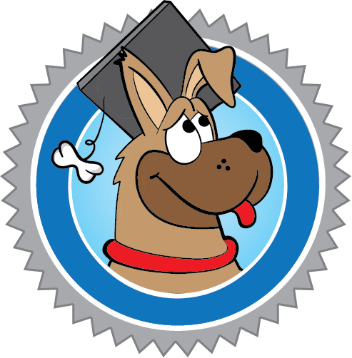 Dog Grooming Services In Durham, NC | Highly Personalized Treatment