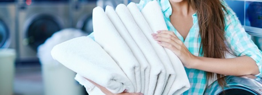 Domy Laundry Cover Image