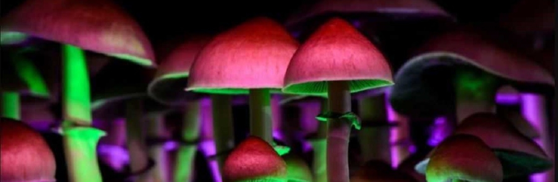 Magic Mushrooms Canada Cover Image