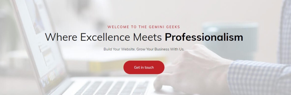 TheGeminiGeeks Cover Image