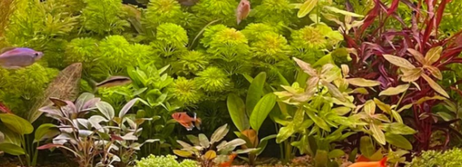 The Fish Farm Cover Image