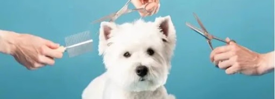 Noahs Ark Pets Cover Image