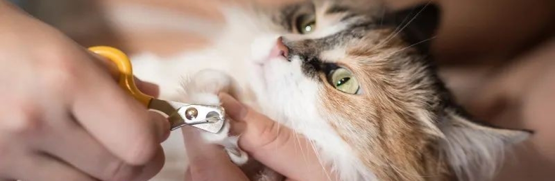 Hello Pets Inc Cover Image