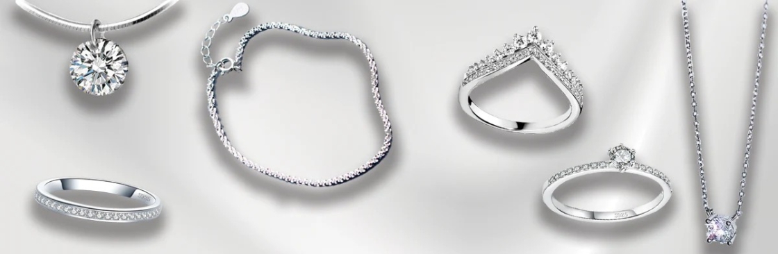 MySilverStandard Cover Image