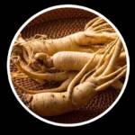 AMISH Amishp Profile Picture