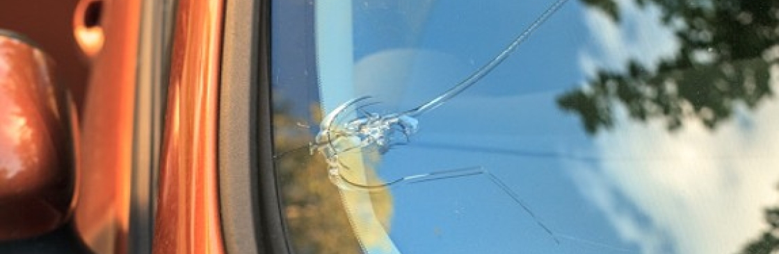 Amity AutoGlass Cover Image